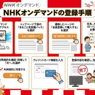 2025年紅白歌合戦の無料見逃し配信はどこで見れる？配信サービスを徹底調査！