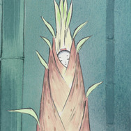 『かぐや姫の物語』© 2013 Isao Takahata, Riko Sakaguchi/Studio Ghibli, NDHDMTK