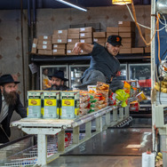 コート・スティーリング 22枚目の写真・画像