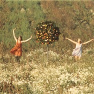 ひなぎく 4Kレストア版 19枚目の写真・画像