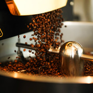 Little Darling Coffee Roasters