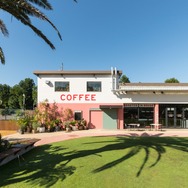 Little Darling Coffee Roasters