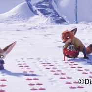 クラブハリエ「ディズニーデザインコレクション」／【新作】All Wonderful！／ ズートピア