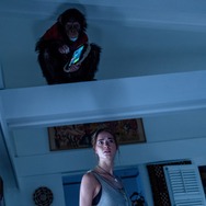 おさるのベン 8枚目の写真・画像