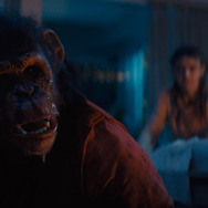 おさるのベン 10枚目の写真・画像