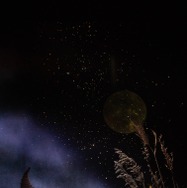 英国ロイヤル・バレエ＆オペラ in シネマ 2025/26 ロイヤル・バレエ「シンデレラ」 9枚目の写真・画像