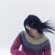 祖谷物語-おくのひと- 13枚目の写真・画像