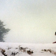 祖谷物語-おくのひと- 14枚目の写真・画像