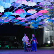 ライフテープ 11枚目の写真・画像