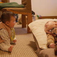 ライフテープ 13枚目の写真・画像