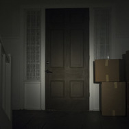 『呪われし家に咲く一輪の花』Netflixにて配信中