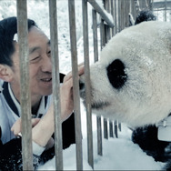 『パンダのすごい世界』