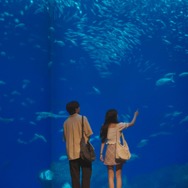 「キンパとおにぎり～恋するふたりは、似ていてちがう～」#2　(c)「キンパとおにぎり」製作委員会