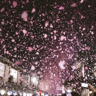 太秦映画村©Toei Uzumasa Eigamura Co.Ltd.