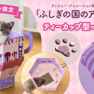 「ティーカップ型の猫の爪とぎ」5,990円（税込）