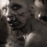 パルブロス：黙示録の子供たち 4枚目の写真・画像