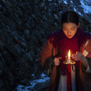 脛擦りの森 5枚目の写真・画像