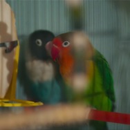 『私のすべて』© 2024 L.F.P. - LES FILMS PELLÉAS / FRANCE 3 CINÉMA