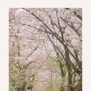 時のおと 1枚目の写真・画像