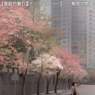 ギョンアの娘 1枚目の写真・画像