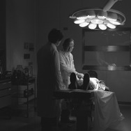 DEAD OR ZOMBIE 7枚目の写真・画像