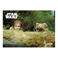 H賞：ポスター【全10種】／© & ™ Lucasfilm Ltd.