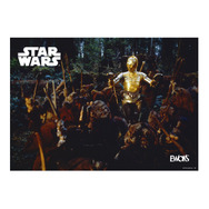 H賞：ポスター【全10種】／© & ™ Lucasfilm Ltd.