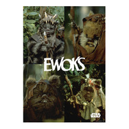 H賞：ポスター【全10種】／© & ™ Lucasfilm Ltd.