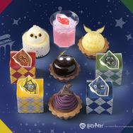 All characters and elements © & ™ Warner Bros. Entertainment Inc. Publishing Rights © JKR. (s26)