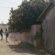 『マイ・ブラザーズ・ウェディング』©1983 Charles Burnett ©2025 Milestone Film & Video for MY BROTHER'S WEDDING