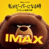 私がビーバーになる時 4枚目の写真・画像