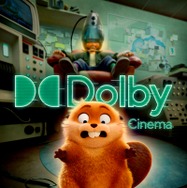 私がビーバーになる時 3枚目の写真・画像