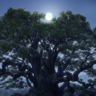 『クスノキの番人』©東野圭吾／アニメ「クスノキの番人」製作委員会