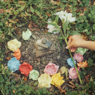 長浜 13枚目の写真・画像