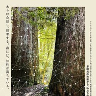 森に聴くListen to the Forest 1枚目の写真・画像