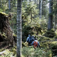 森に聴くListen to the Forest 3枚目の写真・画像