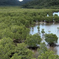 森に聴くListen to the Forest 11枚目の写真・画像