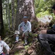 森に聴くListen to the Forest 13枚目の写真・画像