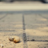 『まっすぐな首』