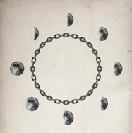 ブゴニア 7枚目の写真・画像