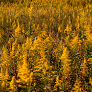 三角屋の交差点で 9枚目の写真・画像