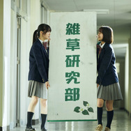 『ザッケン！』　Ⓒ2026上村奈帆・モノガタリラボ・プクプク／小学館／『ザッケン！』製作委員会