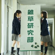 ザッケン！ 3枚目の写真・画像