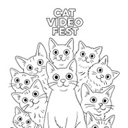 『CatVideoFest』