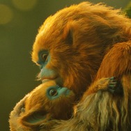 OCHI！ -オチ- 10枚目の写真・画像