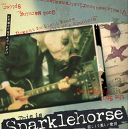 『悲しくて美しい世界／THIS IS SPARKLEHORSE』
