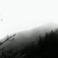 『悲しくて美しい世界／THIS IS SPARKLEHORSE』