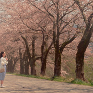 おばあちゃんの秘密 4枚目の写真・画像