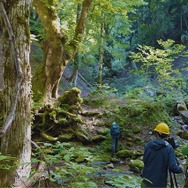 WITH 3枚目の写真・画像