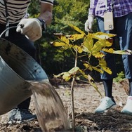 WITH 5枚目の写真・画像